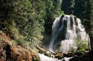 Wall Mural - Landscape of cascading Creek Falls in the forest with trees on a sunny day