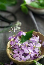 Closeup Of Brassicaceae Flowers In A Bowl