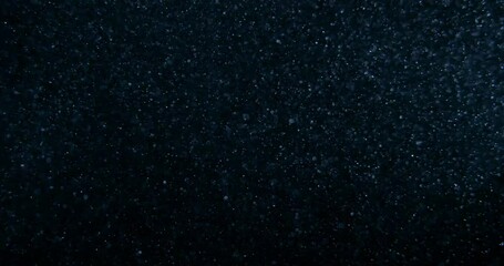 Wall Mural - Dust particles atmosphere on black screen overlay. Filmed with RED camera in slow motion. Abstract background.