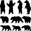 Vector silhouette bear, various bear silhouettes on the white background, Brown grizzly bear and polar bear silhouette set