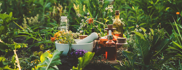 Medicinal herbs and tinctures alternative medicine. Selective focus.