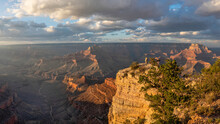 Golden Hour Evening View From Shoshone Point - Grand Canyon National Park - South Rim