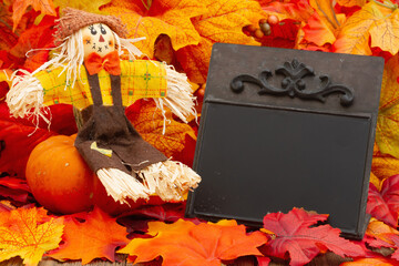 Wall Mural - Blank chalkboard with fall leaves and a scarecrow