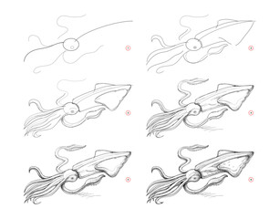 Wall Mural - page shows how to learn to draw sketch of squid. creation step by step pencil drawing. educational p