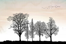 3d Landscape Mural Wallpaper. Black Trees And Birds. Marbled Background For Interior Home Decor