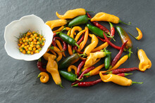 A Cornucopia Of Brightly Colored Peppers Harvested From The Garden In Fall On A Gray Slate Background