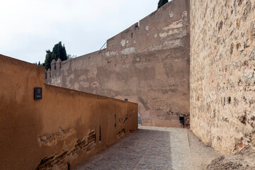 Wall Mural - The Castle of Gibralfaro in Malaga