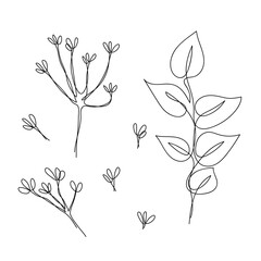 Wall Mural - Continuous line drawing set of plants and flowers black sketch of isolated on white background. Leaves, branch, flowers one line illustration. Minimalist prints set.