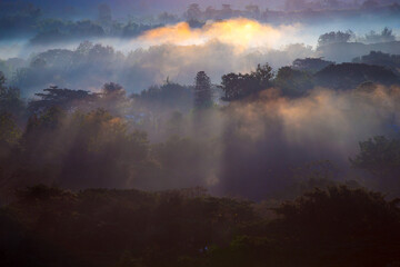 Wall Mural - fog in the mountains