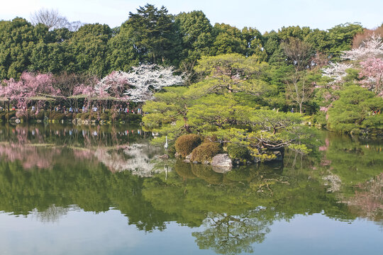 the Japan, Kyoto, view to Heian Shrine, japan 10 April 2012