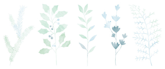 Set of winter botanical watercolor leaf branches background vector. Collection of watercolor winter wild foliage, holly, pine leaf on white background. Design for sticker, poster, banner, card.