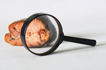 Magnifying glass and piece of red smoked salmon on white. Research and examination of the quality of fish and seafood. Analysis of the content of pathogens and harmful substances in products.