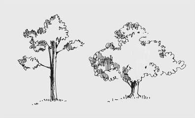 Hand drawn trees. Pine tree and Oak tree doodle. Black and white sketch. 