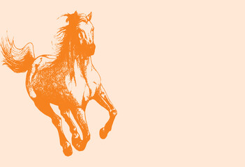 Vector illustration of a beautiful running horse drawing