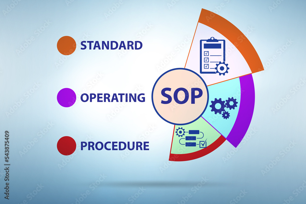 Procedure Section Concept of standard operating procedure Stock Illustration | Adobe Stock