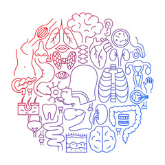 Sticker - Body Organ Line Icon Circle Design. Vector Illustration of Outline Anatomy Concept..