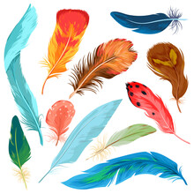 Cartoon Isolated Colorful Nature Collection With Beautiful Bright Plumage Decoration Of Different Tropical Birds, Plume Feather From Wing Of Exotic Flying Animals. Feathers Set Vector Illustration