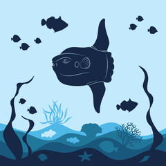 Marine background with  fish moon, mola mola, corals. Isolated vector objects.