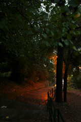 Poster - Urban park in the evening