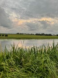 Fototapeta Kawa jest smaczna - Picturesque view of river reeds and cloudy sky