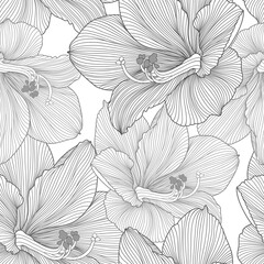 Wall Mural - Seamless pattern with hand-drawn amaryllis flowers.