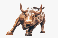 Charging Bull Isolated On White Background. Bull Represents Aggressive Financial Optimism And Prosperity,