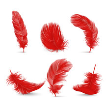 Vector 3d Realistic Red Fluffy Feather Set Isolated On White Background. Design Template Of Flamingo, Angel, Bird Detailed Feathers. Lightness,Freedom Concept