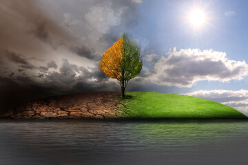 Wall Mural - Half dead and alive tree outdoors. Conceptual photo depicting Earth destroyed by environmental pollution