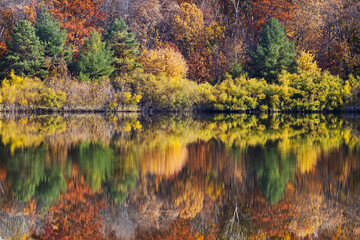 Wall Mural - Autumn coolers in Oka national park, Canada
