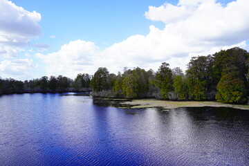 Canvas Print - Landscape of Hillsborough river at Lettuce lake park	in autumn