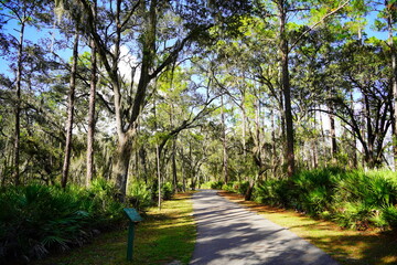 Poster - Landscape of Hillsborough river at Lettuce lake park	in autumn