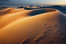 Sand Dunes, Denmark, Winter Landscape