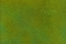 Green Reptile Texture In High Quality. Stock Photo Of Animal Camouflage. Space For Text In Vertical Orientation.