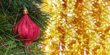 Template With Evergreen Christmas Tree And Red Bauble On The Branch. Web Banner With Copy Space For Text
