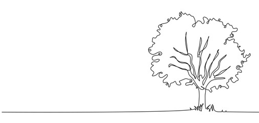 Wall Mural - continuous single line drawing of broadleaf tree isolated on white, line art vector illustration