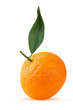 Fresh mandarin with green leaf tangerine