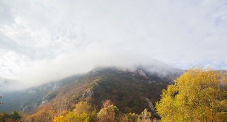 Wall Mural - Amazing view of misty mountain peaks in autumn season in the morning. Beautiful nature, fall foggy landscape.	