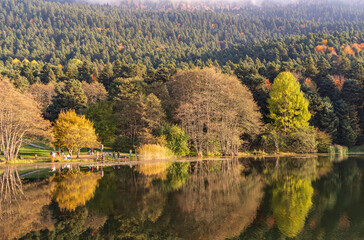 Wall Mural - Wooden Lake house inside forest in Bolu Golcuk National Park, Bolu, Turkey. Reflection of autumn trees