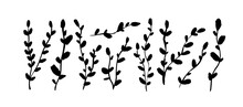 Thin Long Vertical Branches With Small Leaves Isolated On White Background. Brush Drawn Ivy Branches. Vector Hand Drawn Illustration In Simple Doodle Cartoon Style. Silhouettes Of Small Twigs.