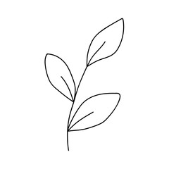 Poster - Cute twig with leaves isolated on white background. Vector hand-drawn illustration in doodle style. Perfect for cards, logo, decorations, various designs. Botanical clipart.