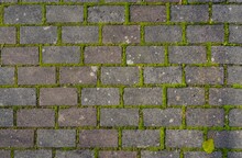 Brick Structure With Green Moss
