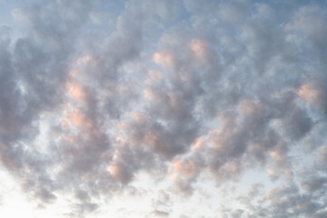 Wall Mural - cloudscape of light soft pink grey clouds at golden hour