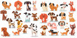 A collection of design of cartoon unusual flat dog characters in different poses. 3D ILLUSTRATION