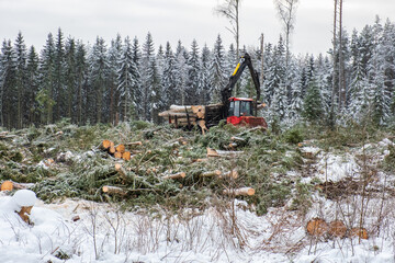 Wall Mural - Forwarder loads timber on a clear cut