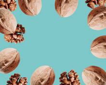 Walnut In The Skin On An Isolated Background