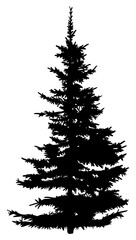 Poster - Fir Tree Silhouette