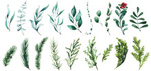 Watercolor Christmas Set Of Evergreen Twigs. Green And Blue Textures. Cut Out Hand Drawn PNG Illustration On Transparent Background. Watercolour Clipart Drawing.