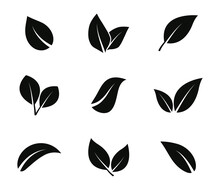 Leaves Icon Set. Leaf Icons. Leaves Of Trees And Plants. Vector Elements For Eco, Bio And Vegan Logos. Vector Illustration.