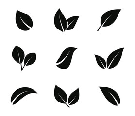 Leaves icon set. Leaf icons. Leaves of trees and plants. Vector elements for eco, bio and vegan logos. Vector illustration.