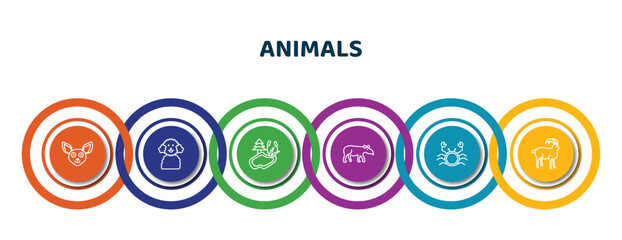 Wall Mural - editable thin line icons with infographic template. infographic for animals concept. included chihuahua, poodle, pond, tapir, crab, mouflon icons.